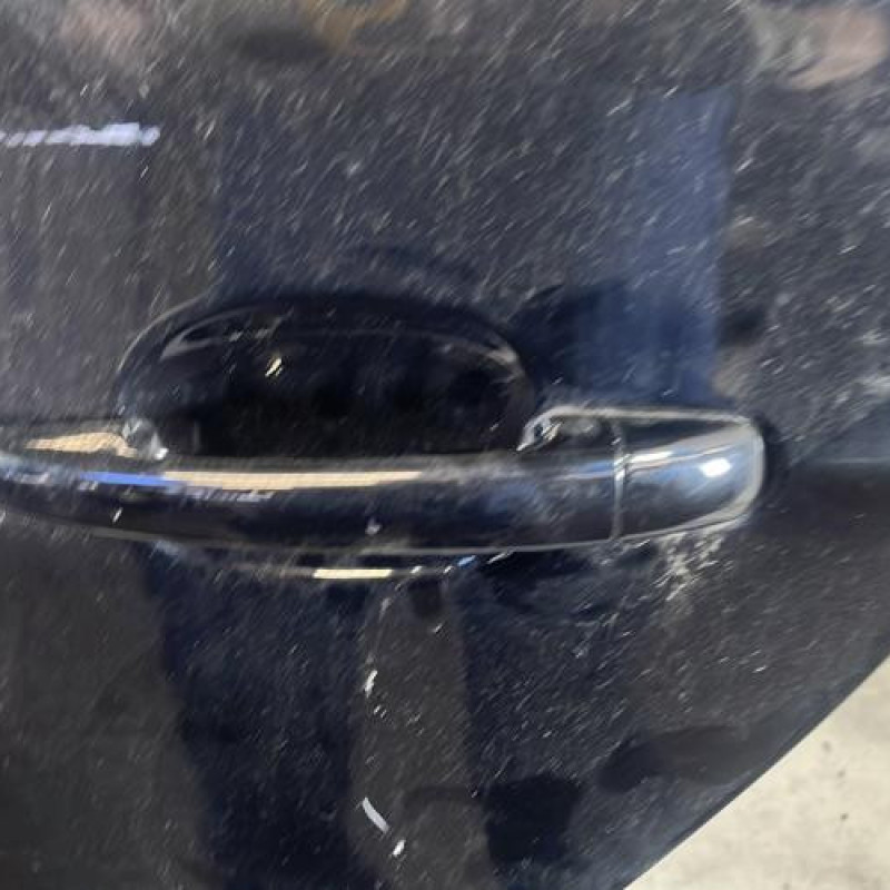 Porte arriere gauche PEUGEOT 5008 1 Photo n°3