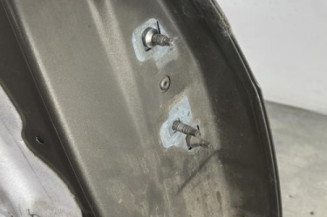 Porte arriere gauche RENAULT GRAND MODUS