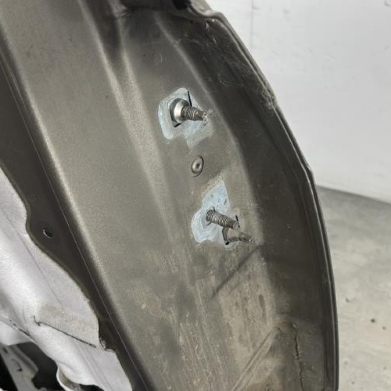 Porte arriere gauche RENAULT GRAND MODUS Photo n°2