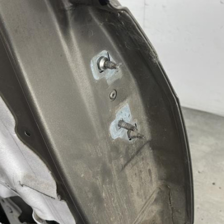 Porte arriere gauche RENAULT GRAND MODUS