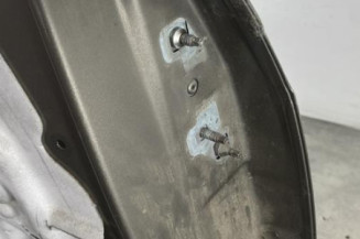 Porte arriere gauche RENAULT GRAND MODUS