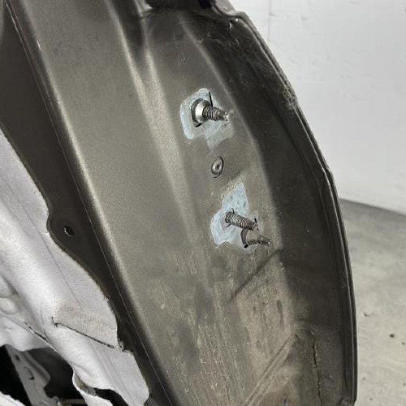 Porte arriere gauche RENAULT GRAND MODUS Photo n°3