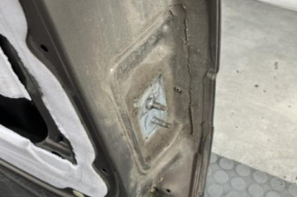 Porte arriere gauche RENAULT GRAND MODUS