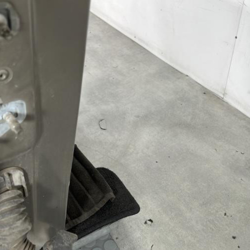 Porte avant droit RENAULT GRAND MODUS Photo n°4