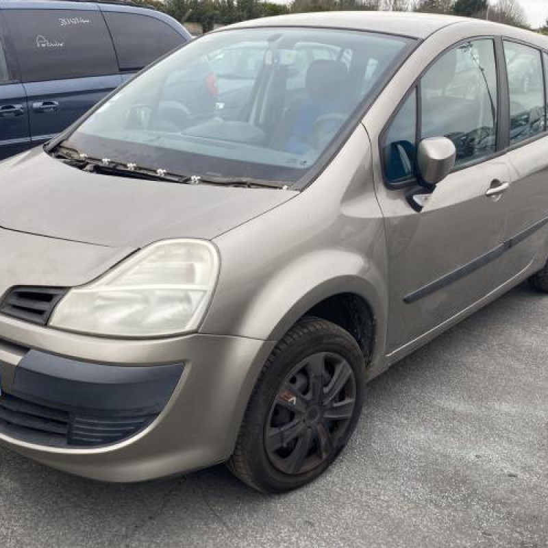 Porte avant droit RENAULT GRAND MODUS Photo n°7