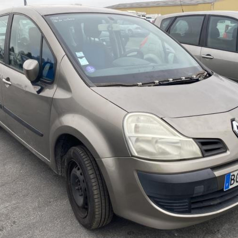 Porte avant droit RENAULT GRAND MODUS Photo n°8