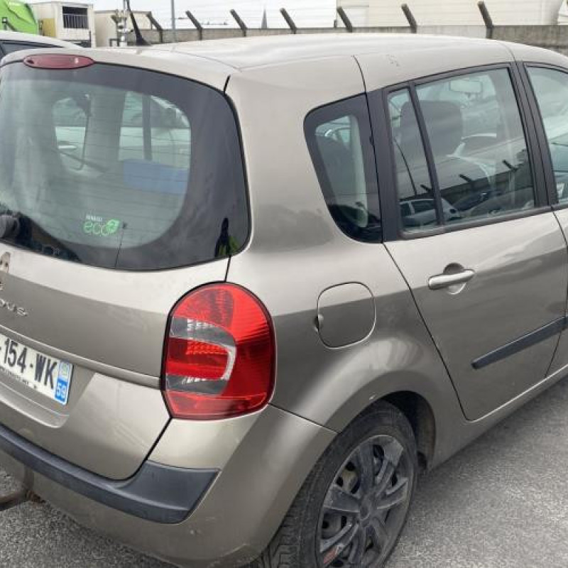 Porte avant droit RENAULT GRAND MODUS Photo n°9
