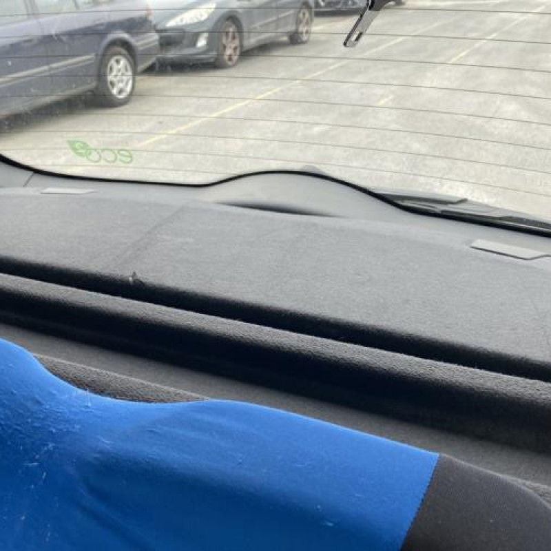 Porte avant droit RENAULT GRAND MODUS Photo n°19