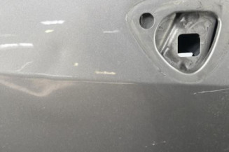 Porte avant gauche RENAULT GRAND MODUS