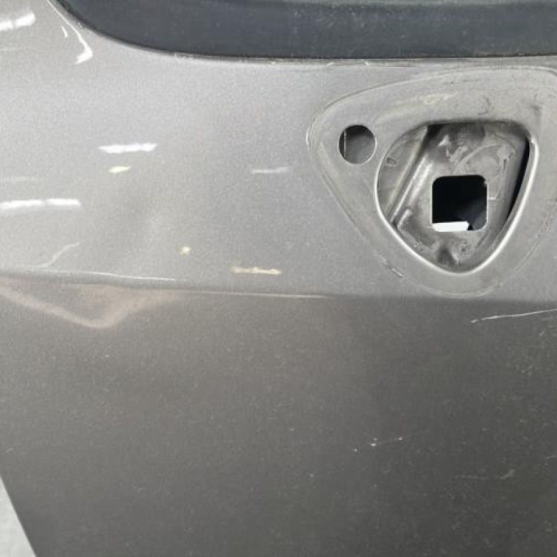 Porte avant gauche RENAULT GRAND MODUS Photo n°3