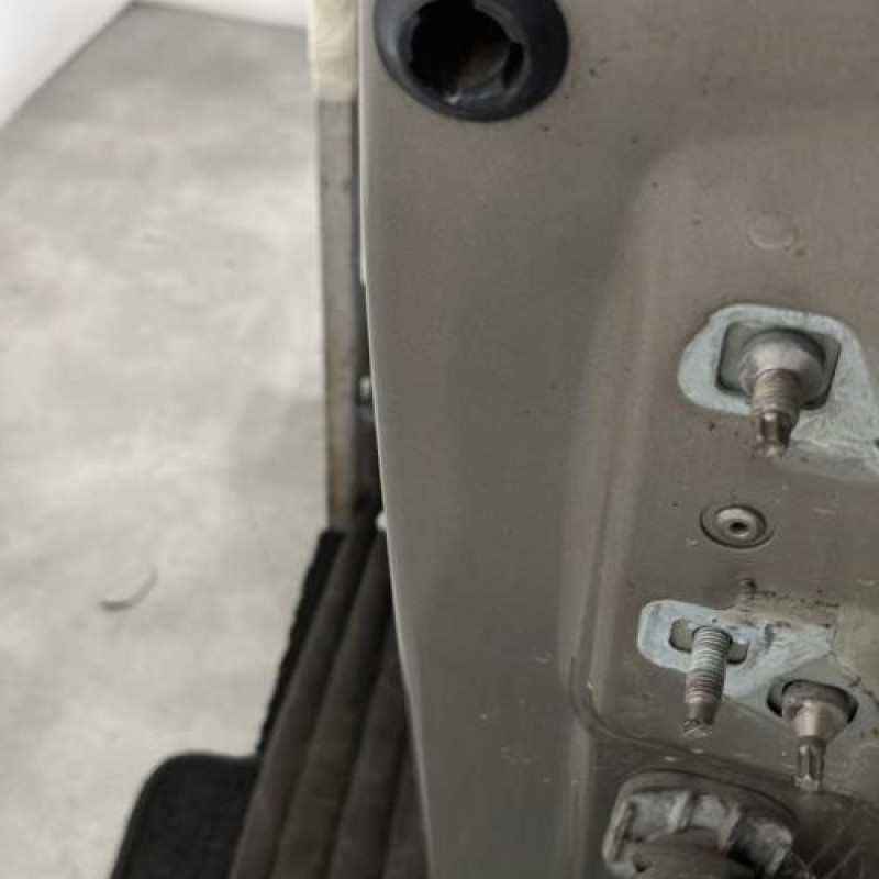Porte avant gauche RENAULT GRAND MODUS Photo n°4