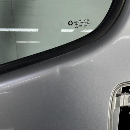 Porte avant gauche NISSAN PRIMASTAR 1