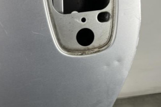 Porte avant gauche NISSAN PRIMASTAR 1