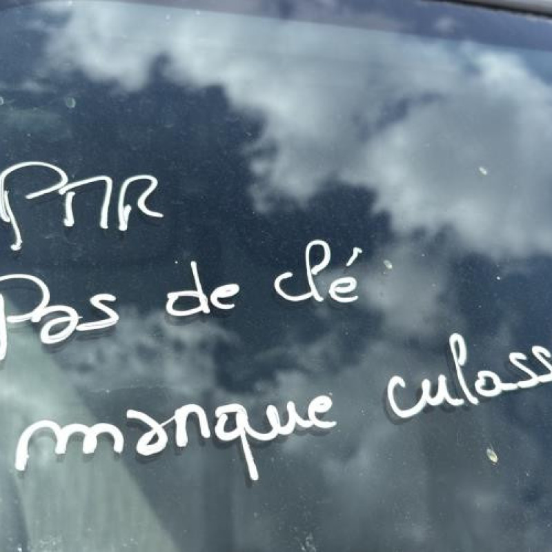 Porte avant gauche NISSAN PRIMASTAR 1 Photo n°17