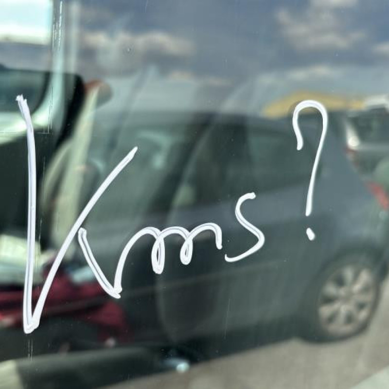 Porte avant gauche NISSAN PRIMASTAR 1 Photo n°19