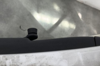 Porte arriere gauche RENAULT CLIO 3