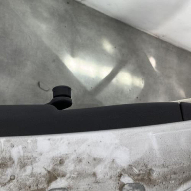 Porte arriere gauche RENAULT CLIO 3 Photo n°3
