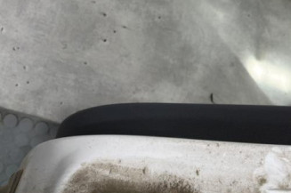 Porte arriere gauche RENAULT CLIO 3