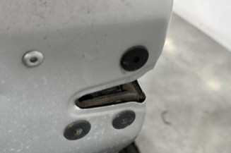 Porte avant gauche RENAULT CLIO 3
