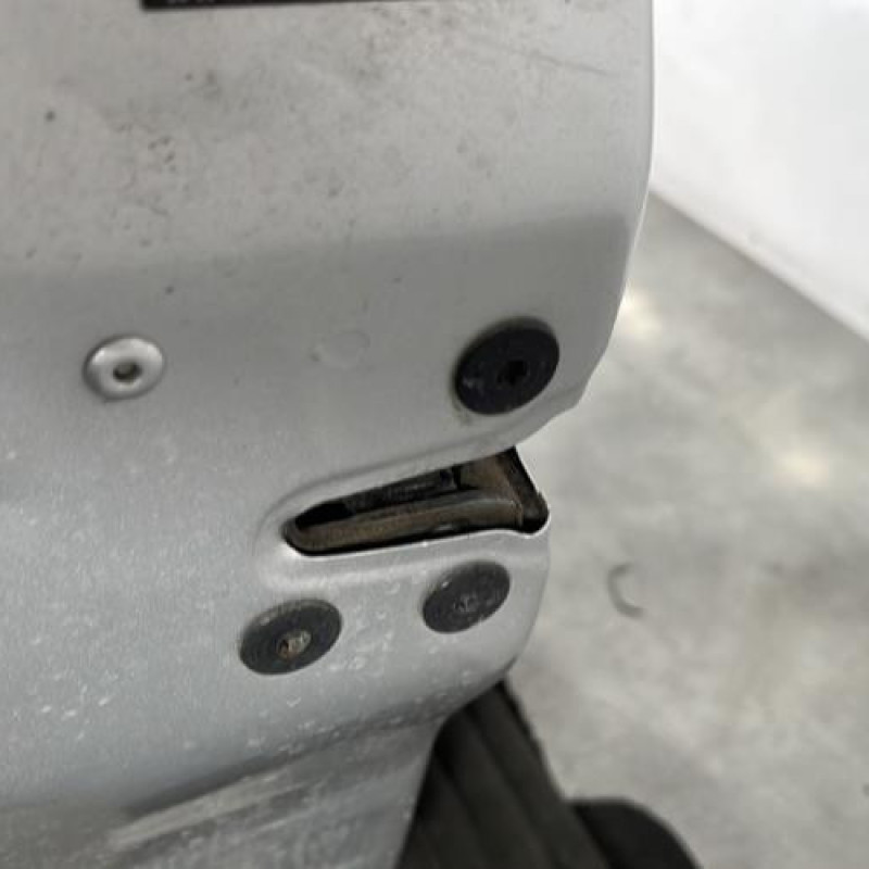 Porte avant gauche RENAULT CLIO 3 Photo n°3