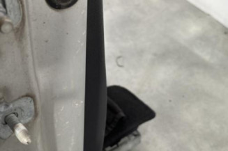 Porte avant droit RENAULT CLIO 3