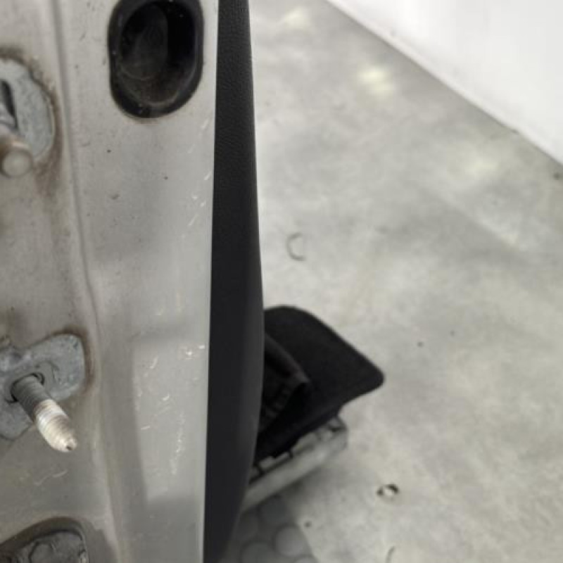 Porte avant droit RENAULT CLIO 3 Photo n°4