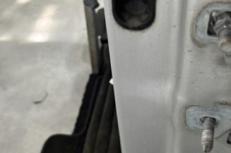 Porte avant gauche RENAULT CLIO 3