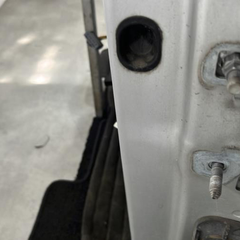 Porte avant gauche RENAULT CLIO 3 Photo n°4