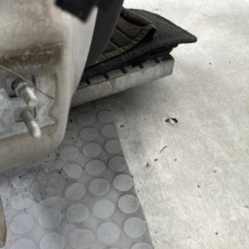 Porte avant droit RENAULT CLIO 3 Photo n°5