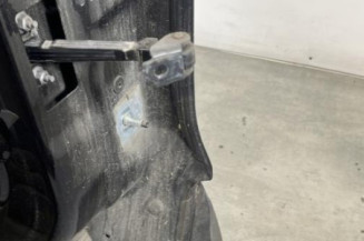 Porte arriere gauche RENAULT CLIO 4