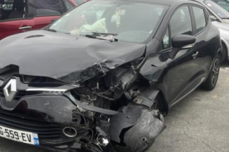 Porte avant gauche RENAULT CLIO 4