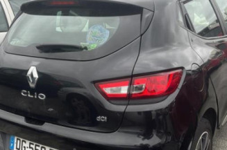Porte avant gauche RENAULT CLIO 4