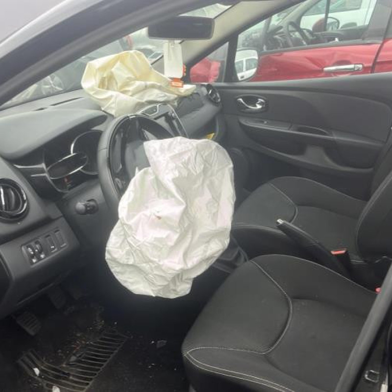 Porte avant gauche RENAULT CLIO 4 Photo n°12