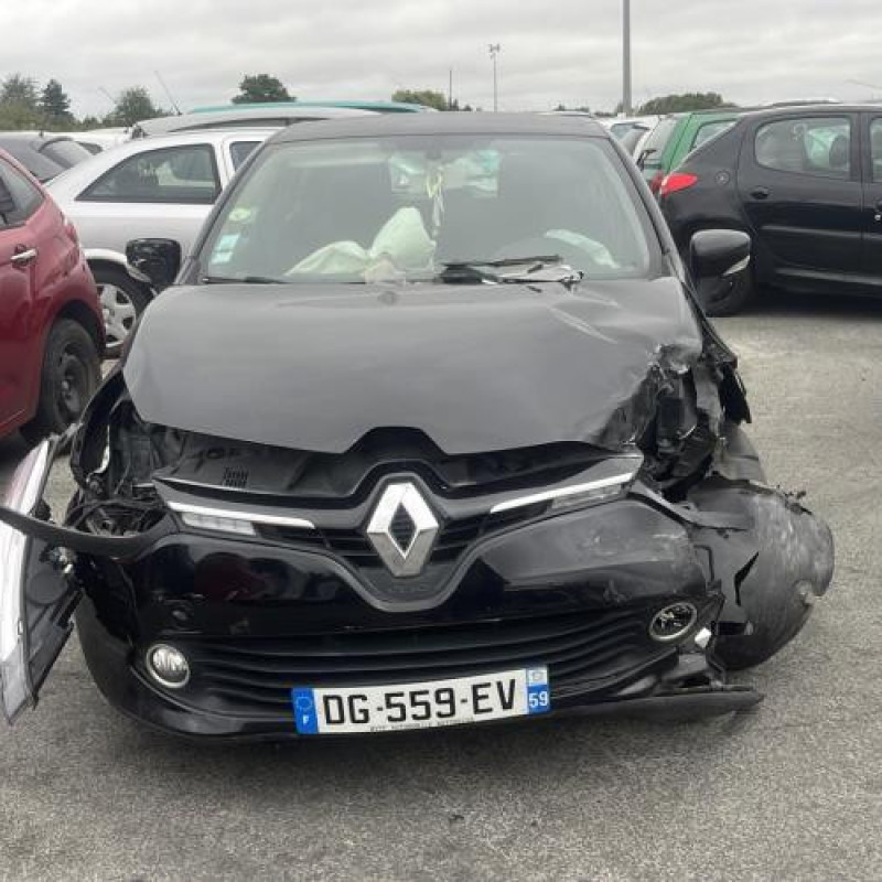 Porte avant gauche RENAULT CLIO 4 Photo n°13