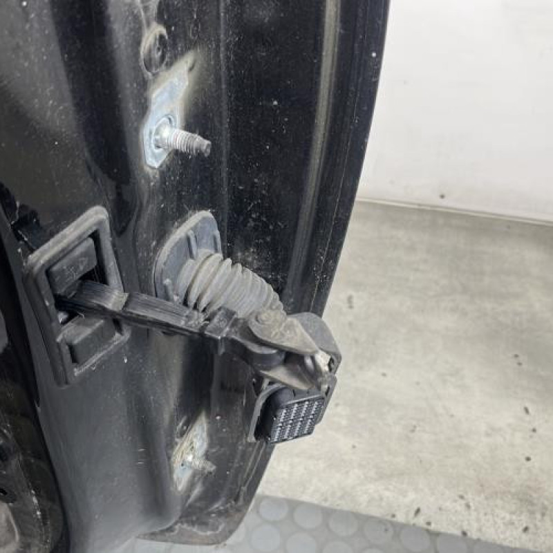 Porte avant gauche RENAULT CLIO 4 Photo n°3