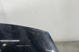 Capot RENAULT SCENIC 3
