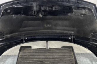 Capot RENAULT SCENIC 3