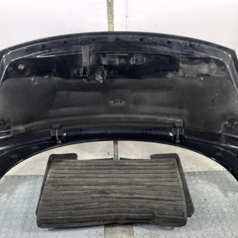 Capot RENAULT SCENIC 3 Photo n°9