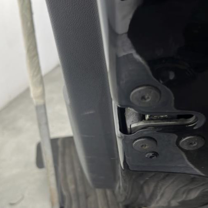 Porte arriere droit RENAULT SCENIC 3 Photo n°3
