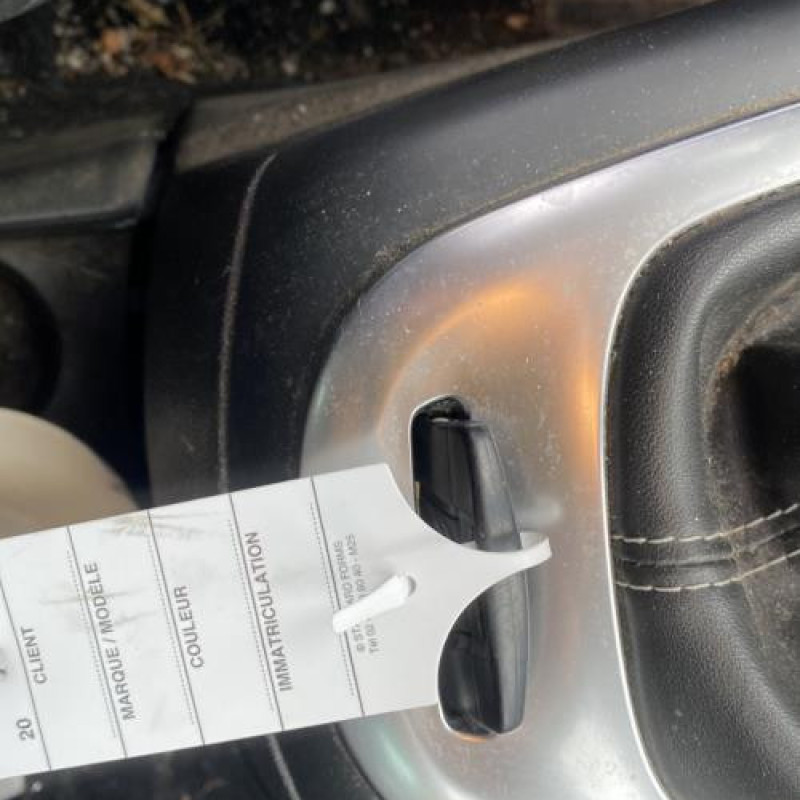 Porte arriere droit RENAULT SCENIC 3 Photo n°10