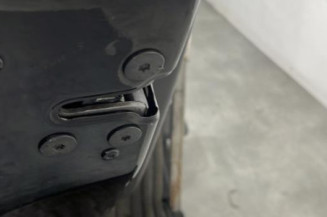 Porte arriere gauche RENAULT SCENIC 3