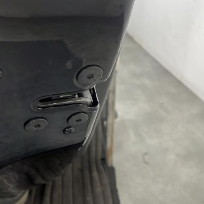 Porte arriere gauche RENAULT SCENIC 3 Photo n°3