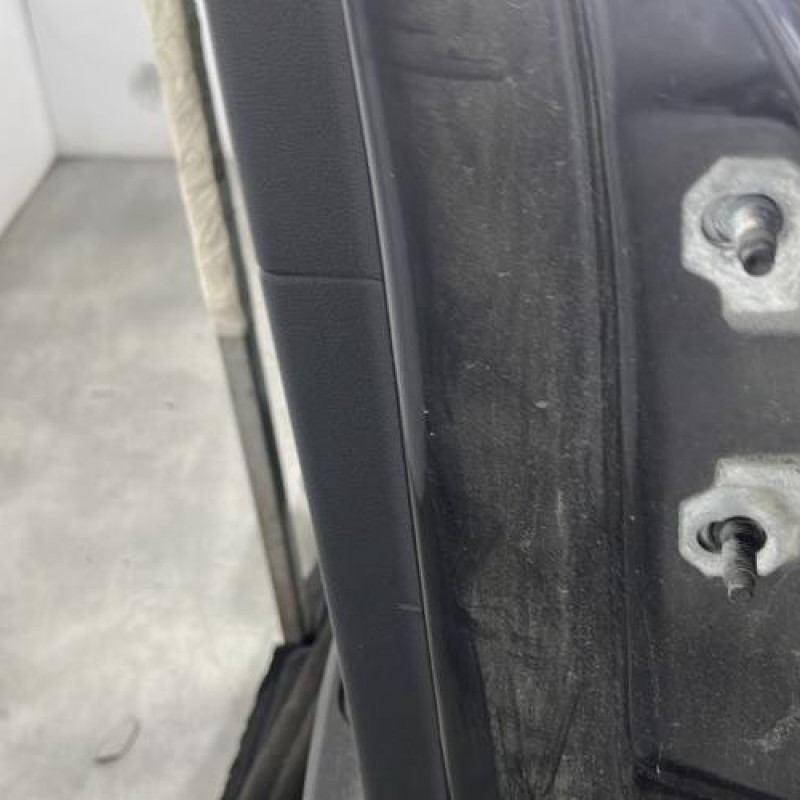 Porte arriere gauche RENAULT SCENIC 3 Photo n°4