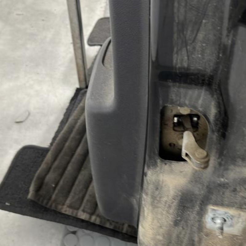 Porte arriere gauche RENAULT SCENIC 3 Photo n°5