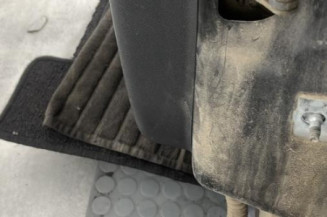 Porte arriere gauche RENAULT SCENIC 3
