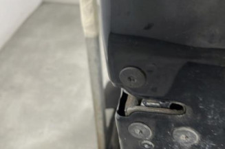 Porte avant droit RENAULT SCENIC 3