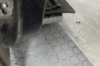 Porte avant droit RENAULT SCENIC 3