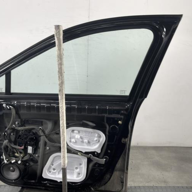 Porte avant droit RENAULT SCENIC 3 Photo n°8