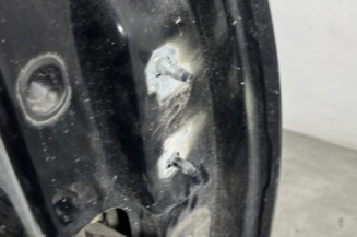 Porte avant gauche RENAULT SCENIC 3