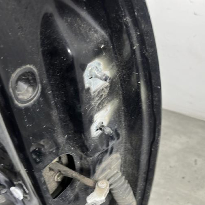 Porte avant gauche RENAULT SCENIC 3 Photo n°2
